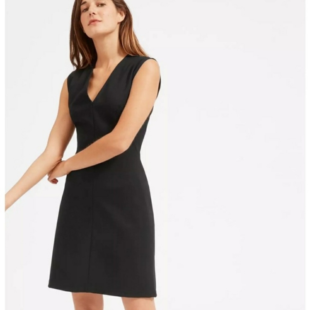 Everlane Black Mini Dress